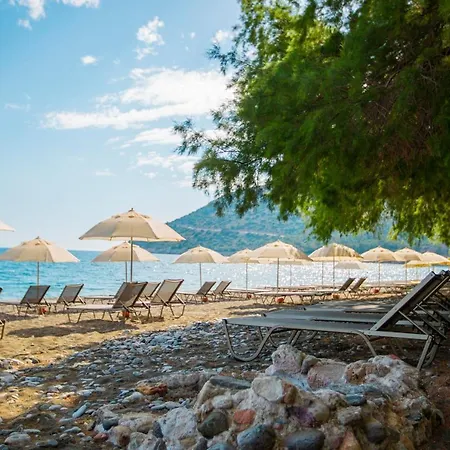 Ada Kwatera prywatna *