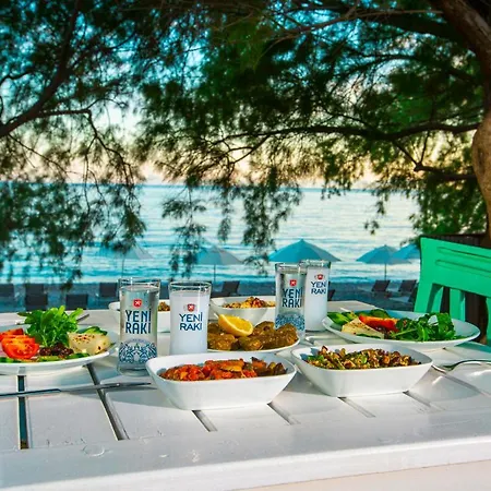 בית אירוח Ada