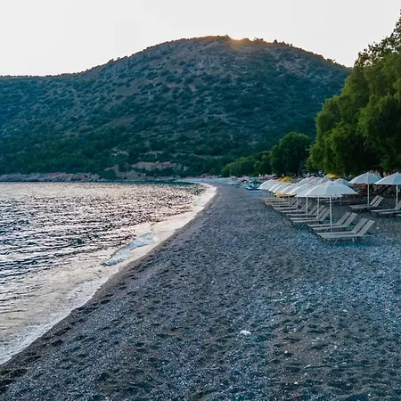 Gazde/Camere de închiriat Ada