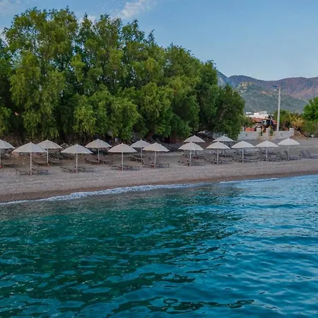 Ada Gazde/Camere de închiriat *