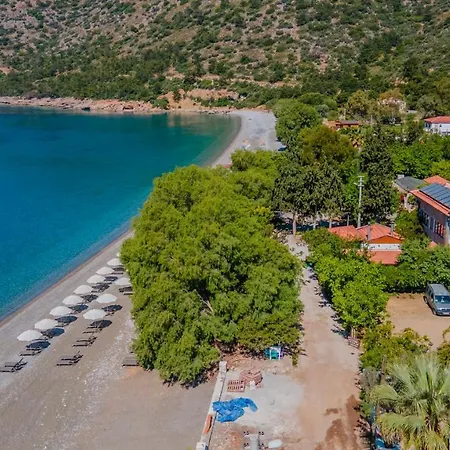 Gazde/Camere de închiriat Ada